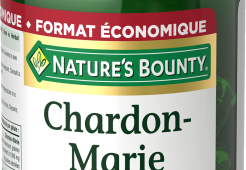 Chardon-Marie 