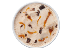 Plant-based Caramel Fudge Chip Frozen Dessert